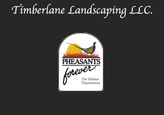 Timberline Landscape